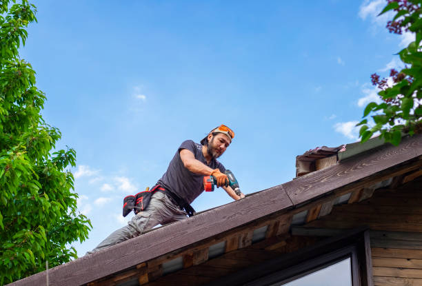 Best Roof Maintenance and Cleaning  in Lemay, MO